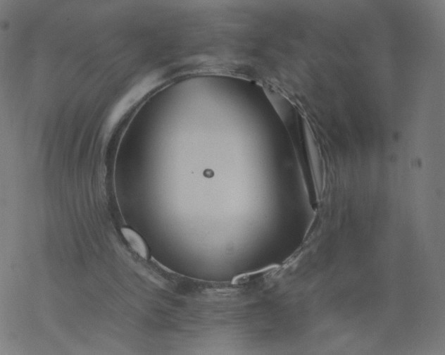 X0000077360150200611031855