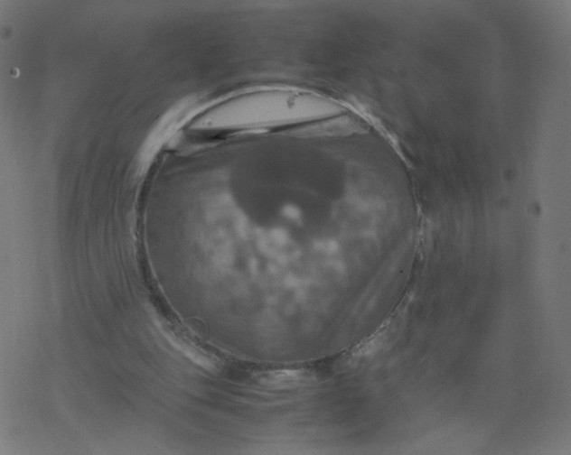 X0000077360151200611031855