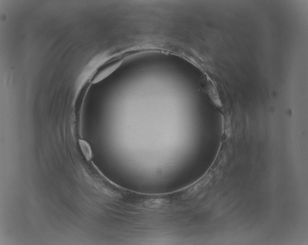 X0000077360152200611031855