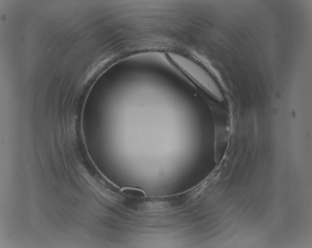 X0000077360154200611031855