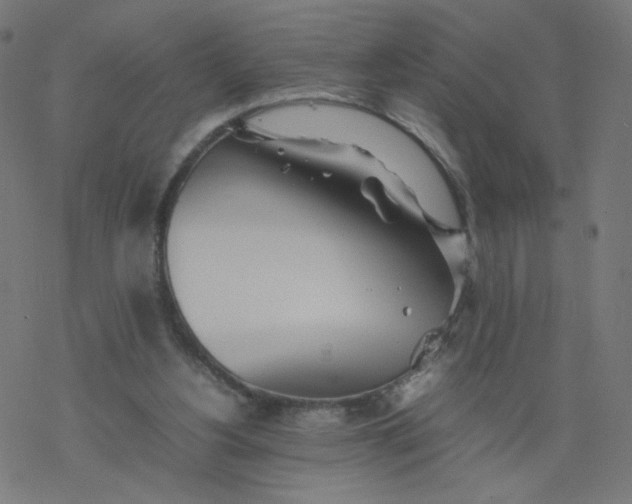 X0000077360156200611031855