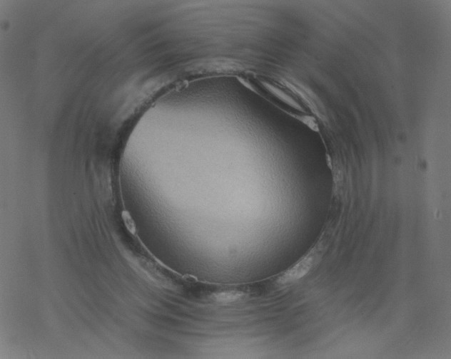 X0000077360158200611031855