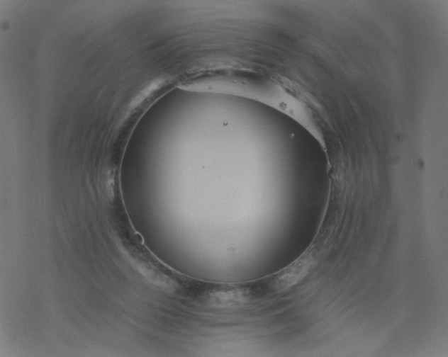 X0000077360160200611031855