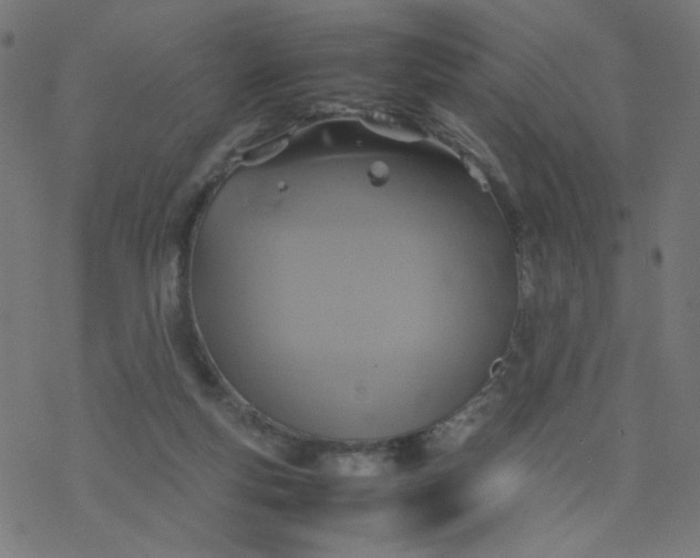 X0000077360163200611031855