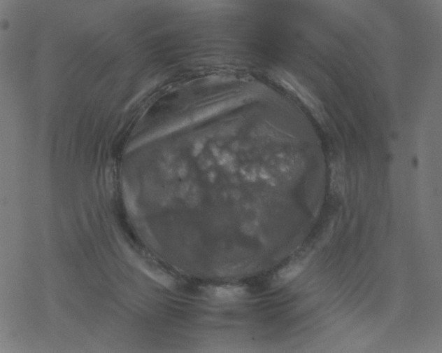 X0000077360165200611031855