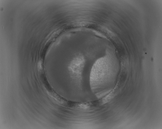 X0000077360166200611031855