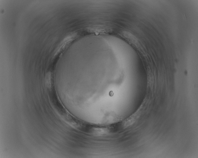 X0000077360167200611031855