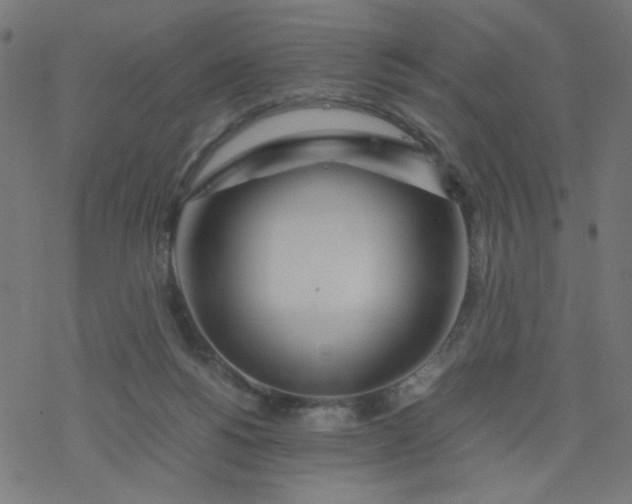 X0000077360168200611031855