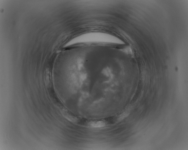 X0000077360169200611031855