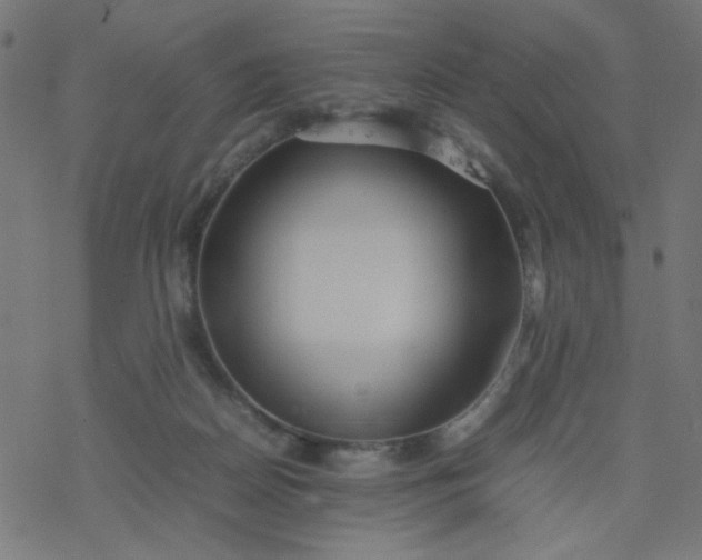 X0000077360170200611031855