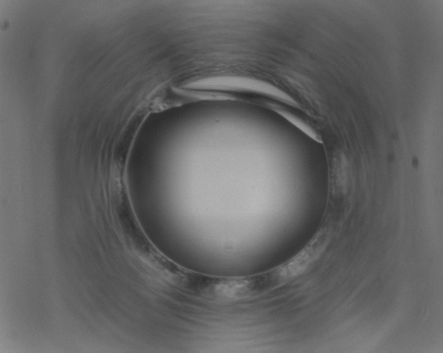 X0000077360172200611031855