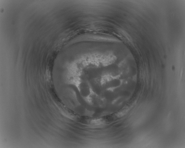 X0000077360173200611031855