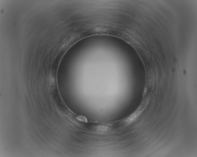 X0000077360176200611031855