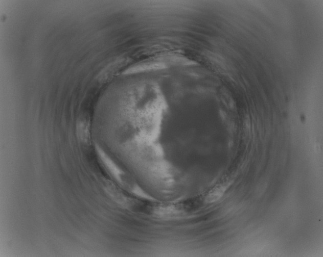 X0000077360177200611031855