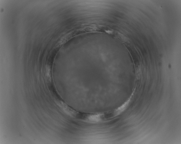 X0000077360178200611031855