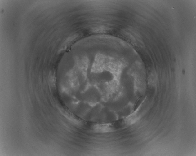 X0000077360179200611031855