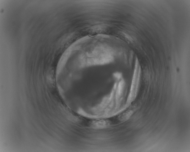 X0000077360181200611031855