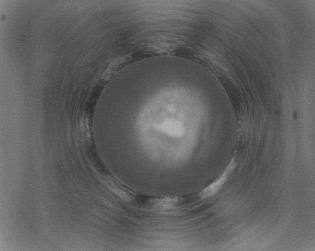 X0000077360182200611031855