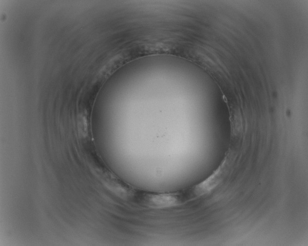 X0000077360183200611031855