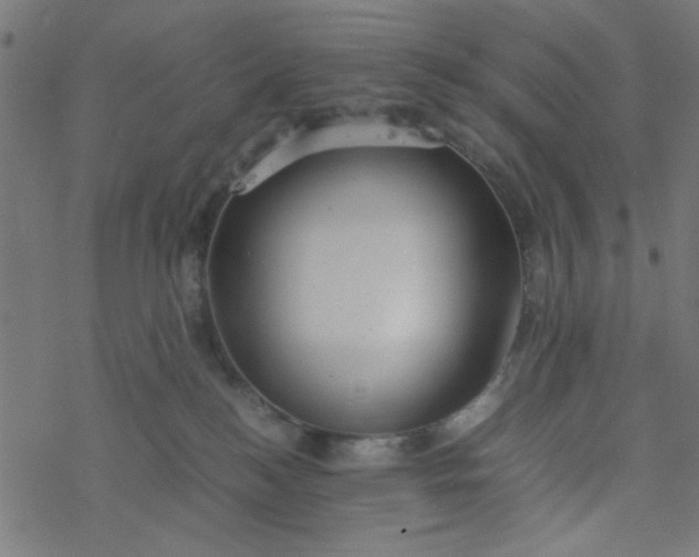 X0000077360184200611031855