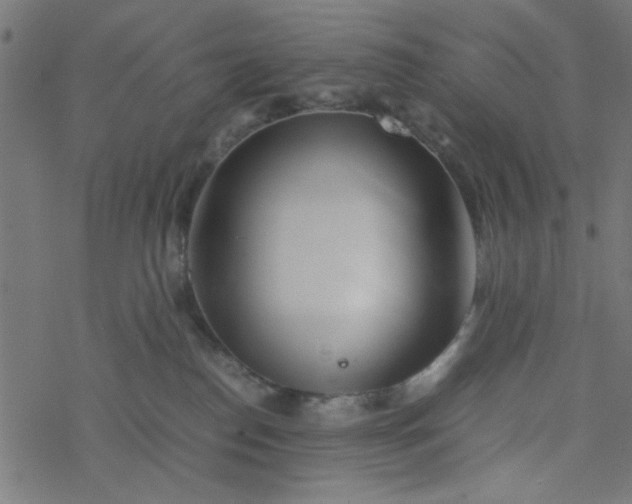 X0000077360186200611031855