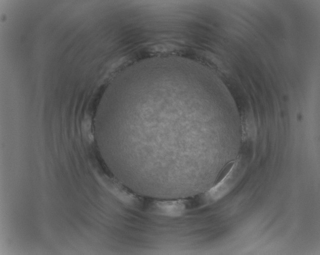 X0000077360187200611031855