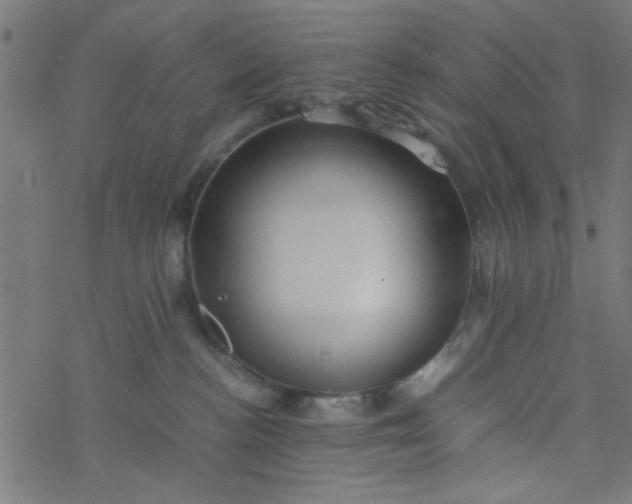 X0000077360188200611031855