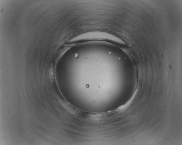 X0000077360190200611031855