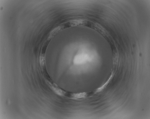 X0000077360191200611031855