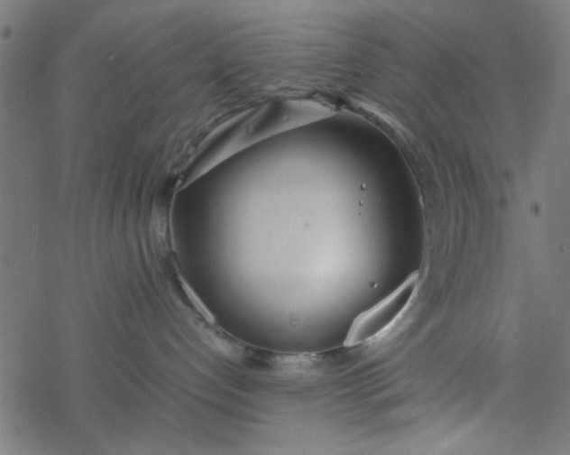 X0000077360192200611031855