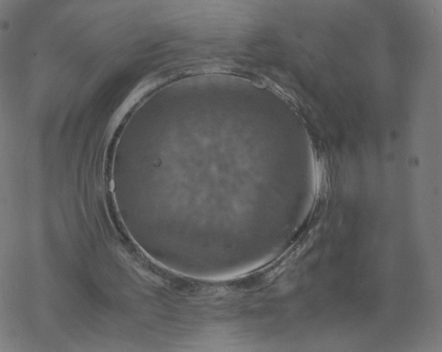 X0000077360195200611031855