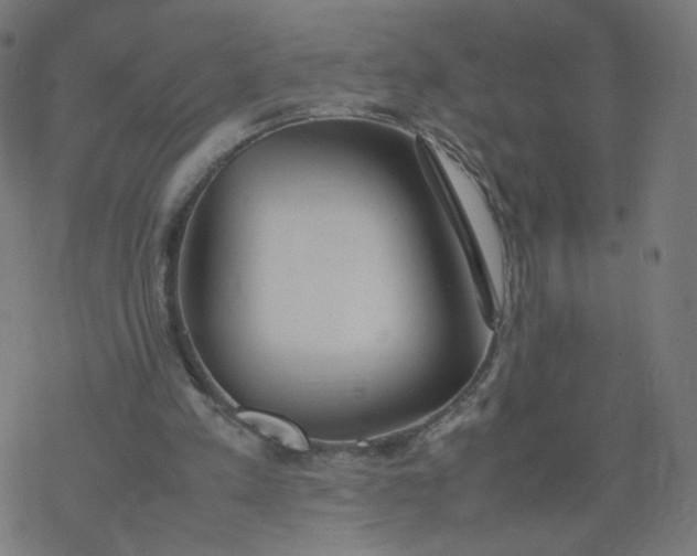 X0000077360197200611031855