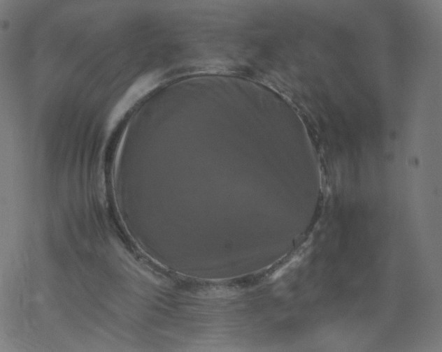 X0000077360198200611031855