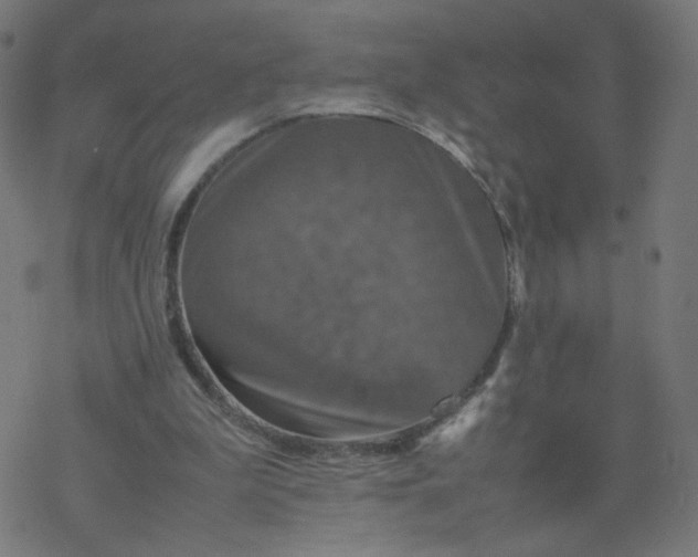 X0000077360199200611031854