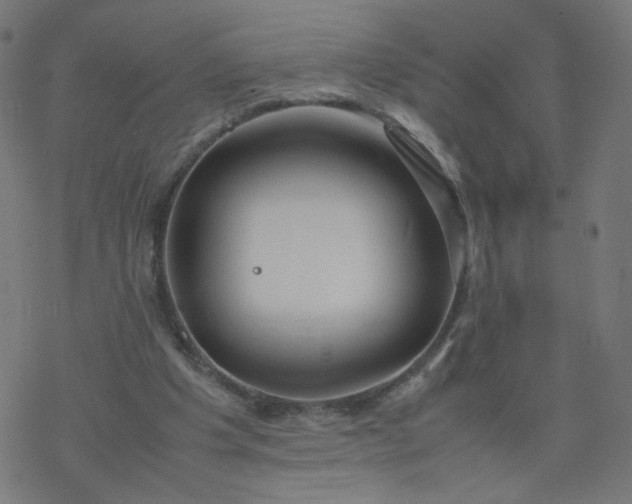 X0000077360201200611031854