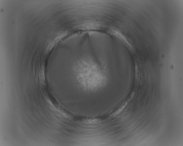 X0000077360202200611031854