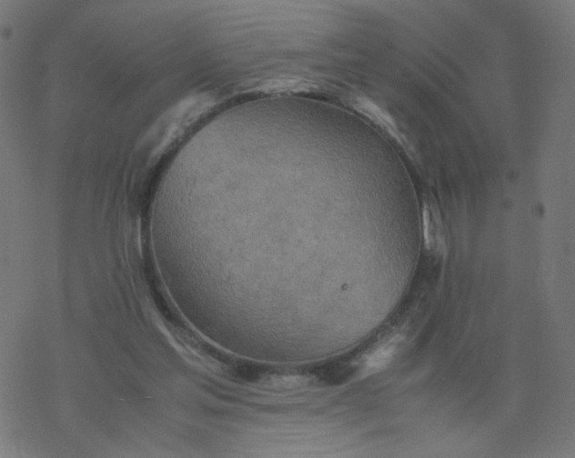 X0000077360205200611031854