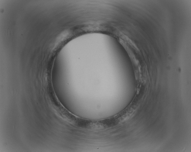 X0000077360207200611031854