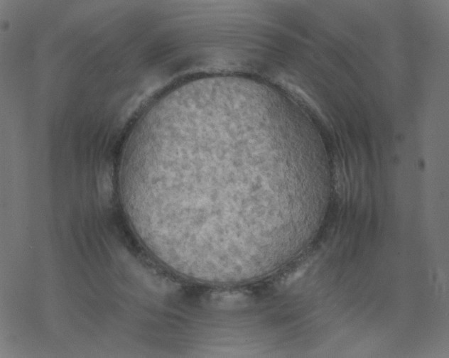 X0000077360208200611031854