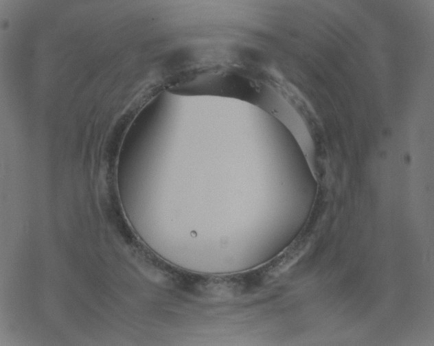 X0000077360209200611031854