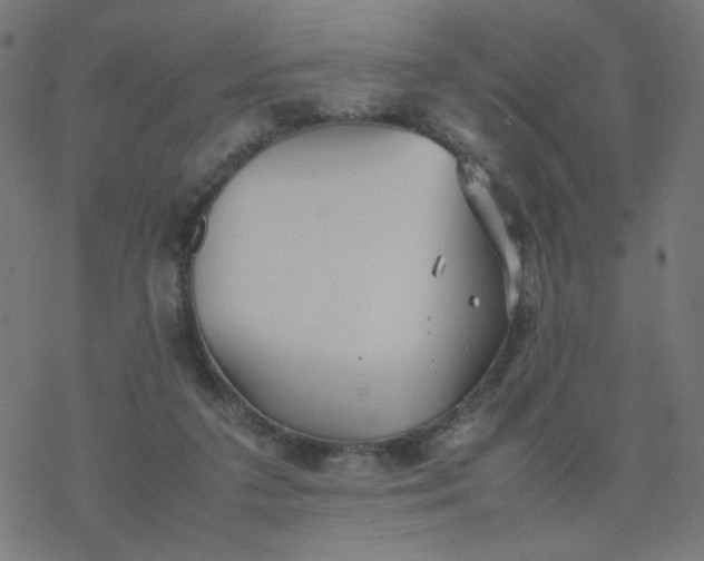 X0000077360211200611031854