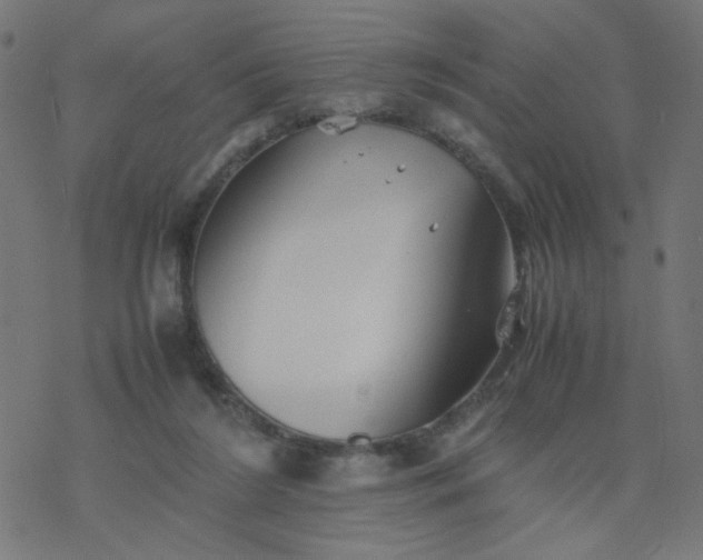 X0000077360212200611031854