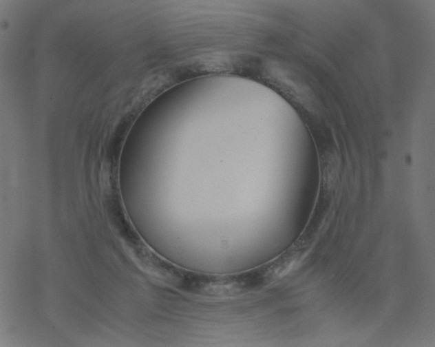 X0000077360213200611031854