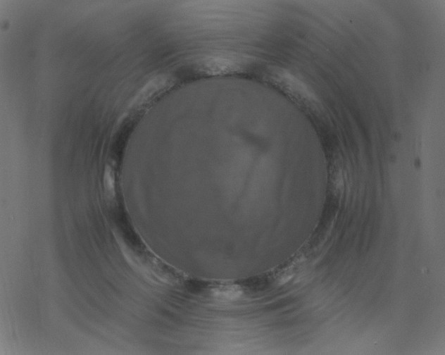 X0000077360214200611031854