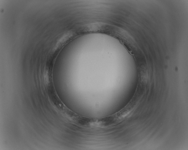 X0000077360216200611031854