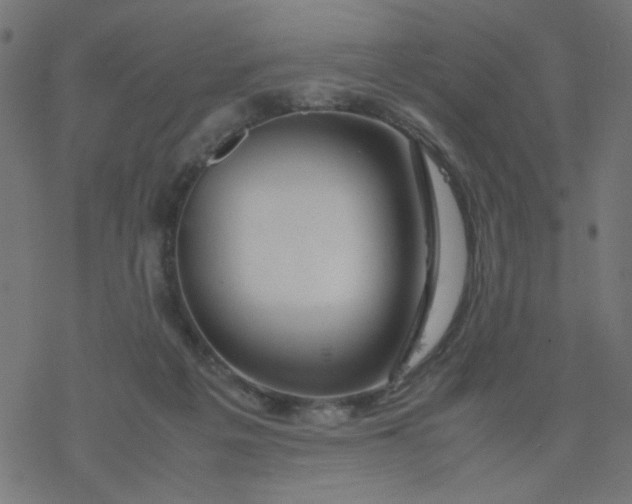 X0000077360217200611031854