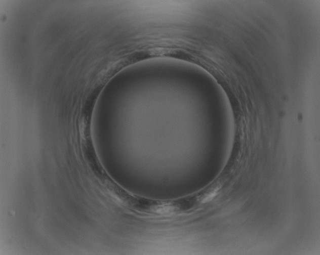 X0000077360219200611031854