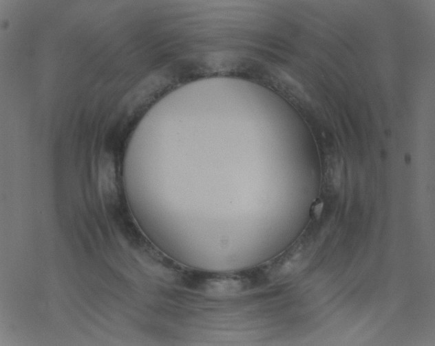 X0000077360220200611031854