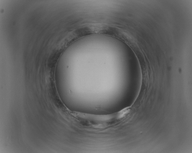 X0000077360221200611031854