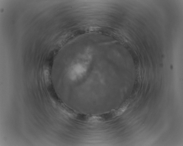 X0000077360222200611031854